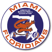 sew on Vintage Early 1970s ABA Miami Floridians 3" Round Patch defunct team 